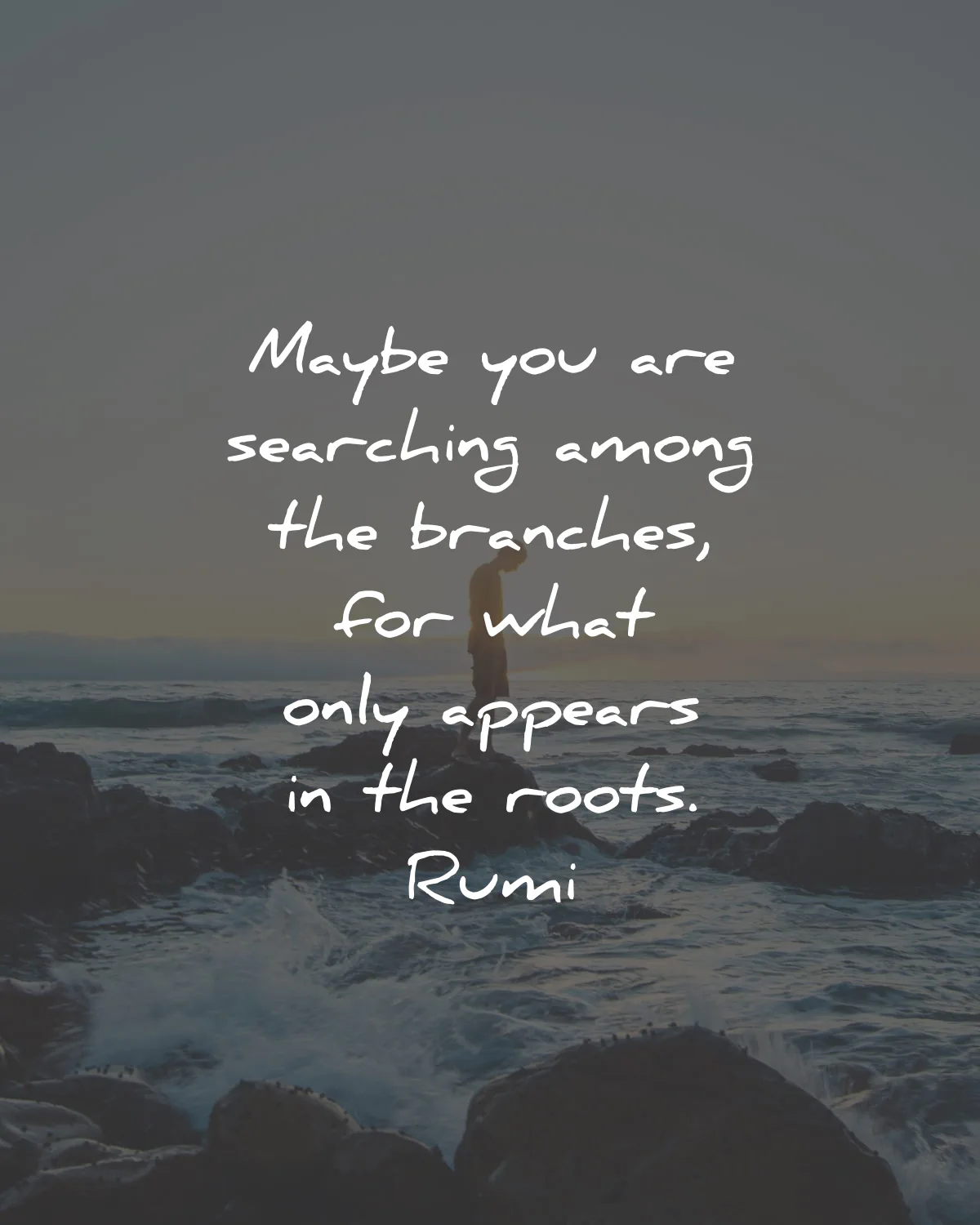 Rumi Quotes Maybe Searching Branches Roots Wisdom Quotes.webp