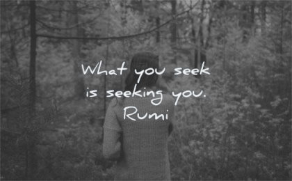 rumi quotes what you seek seeking wisdom nature woman forest