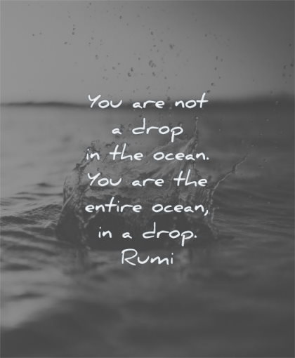 rumi quotes you are not drop in the ocean entire wisdom water sea