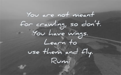 rumi quotes you not meant crawling dont have wings learn use them fly wisdom nature water
