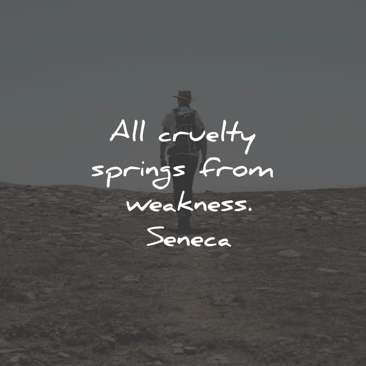 seneca quotes cruelty springs weakness wisdom