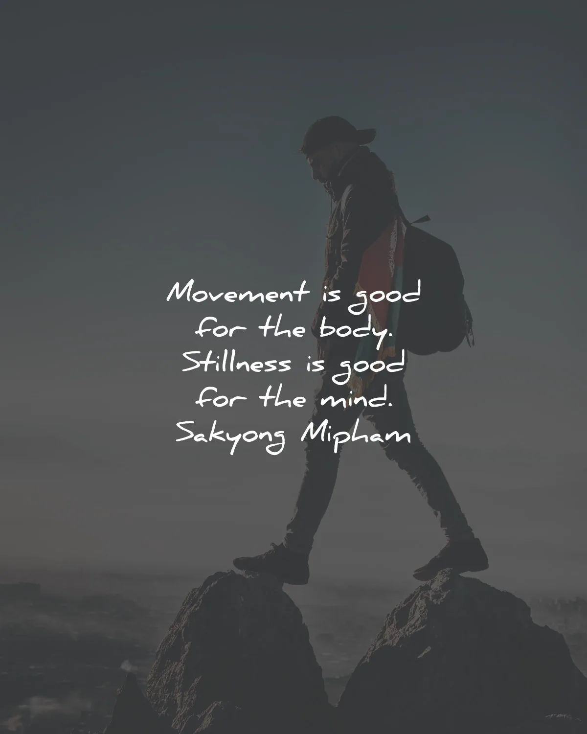 serenity quotes movement good body stillness mind sakyong mipham wisdom