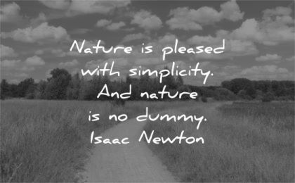 simplicity quotes nature pleased dummy isaac newton wisdom path