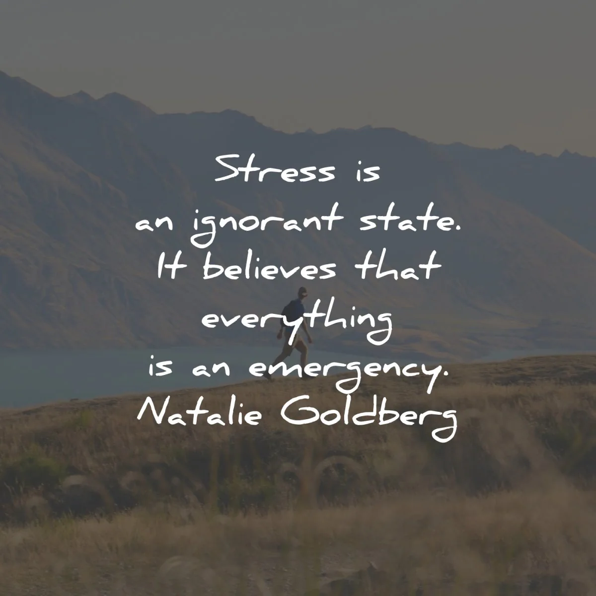 stress quotes ignorant state believes natalie goldberg wisdom