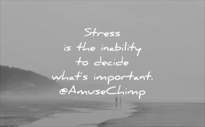 stress quotes inability decide whats important amuse chimp wisdom