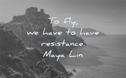 success quotes fly have have resistance maya lin wisdom landscape nature sea