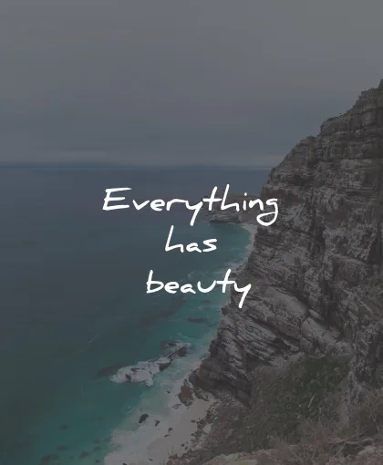 three word quotes everything has beauty wisdom