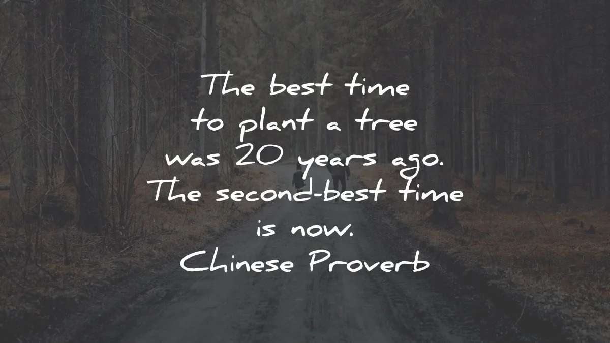 waiting quotes best time plant tree years ago chinese proverb wisdom