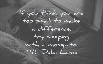 zen quotes think you are too small make difference sleeping mosquito 14th dalai lama wisdom bed woman